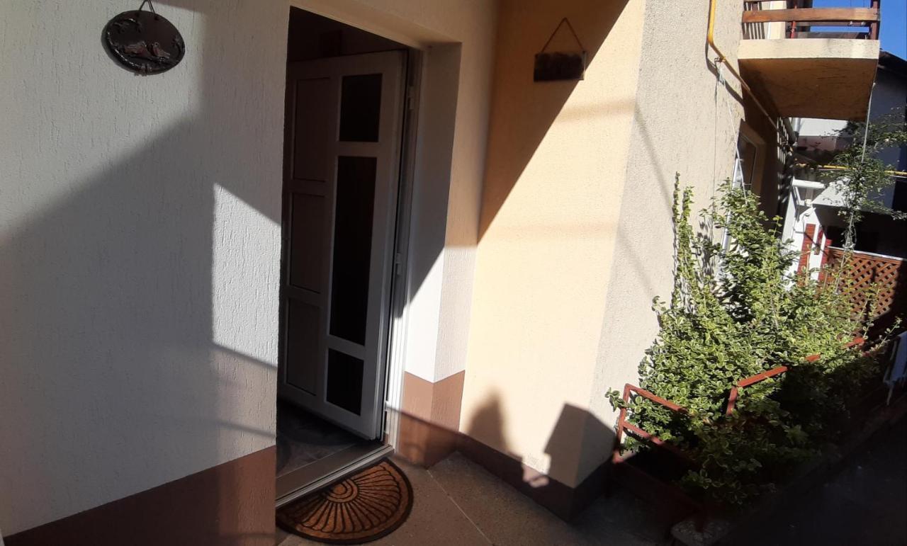 Casa Ultracentral Suceavaヴィラ エクステリア 写真