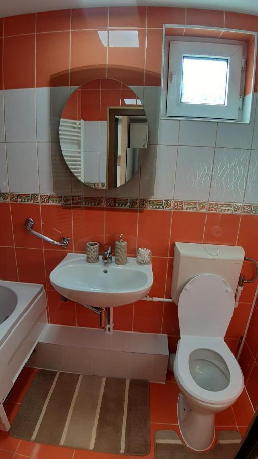 Casa Ultracentral Suceavaヴィラ エクステリア 写真